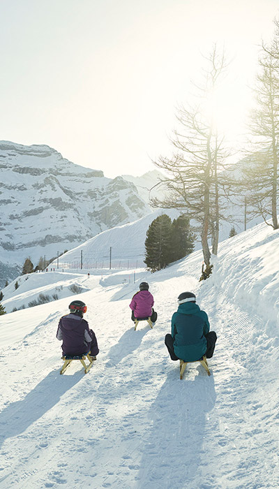 Sledging