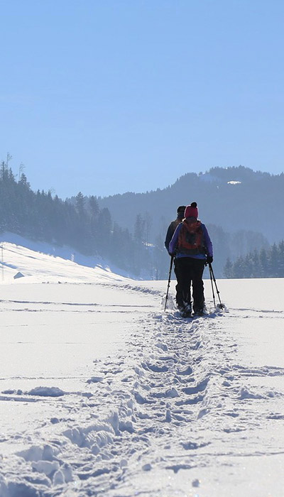 Snowshoeing