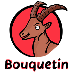 Bouquetin