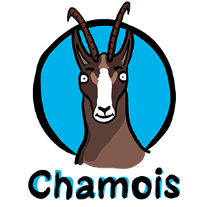 Chamois